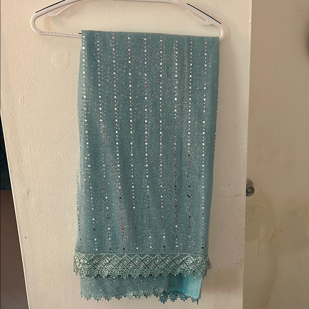 Elegant Blue Lace Sari